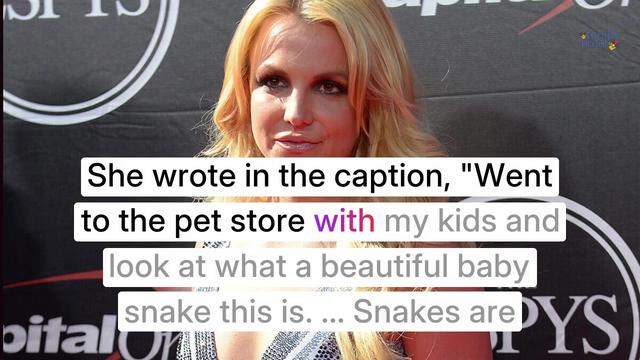 Britney Spears Shares 