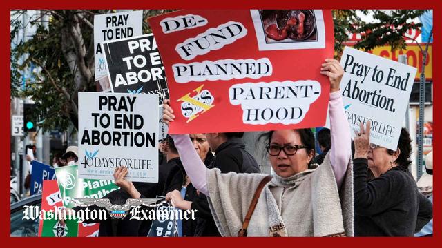 Planned Parenthood defunding can stay in budget bill