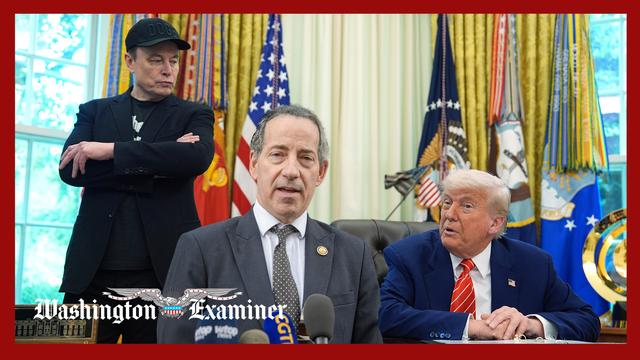 Raskin says Trump and Bondi ‘closest thing’ to deep state 