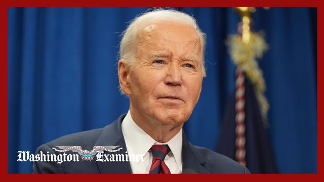 Biden insists he made every clemency decision into the autopen investigation