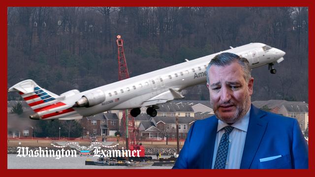 Ted Cruz rolls out bill to prevent midair collisions
