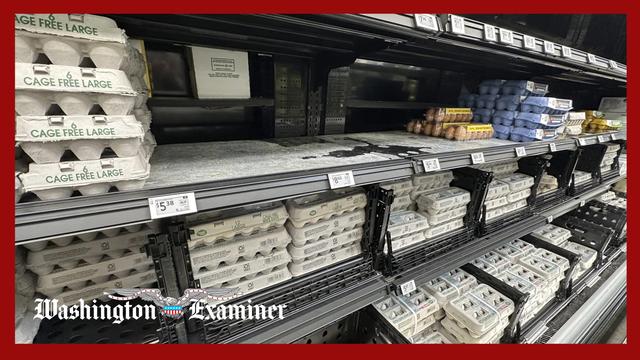 Eggs, groceries, gas, housing- What’s happened with key prices under Trump 2