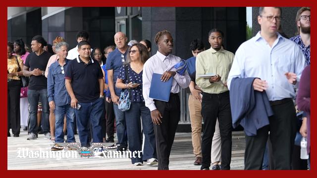 VA watchdog finds record level of staffing shortages