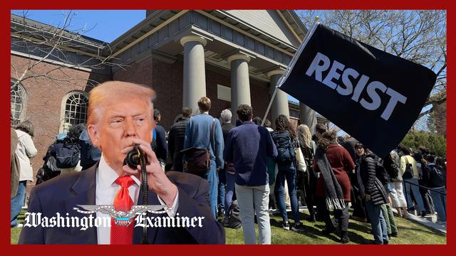Trump’s higher education crackdown reshapes elite campuses as students return