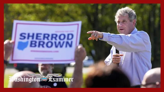 Sherrod Brown launches comeback bid for Ohio Senate seat
