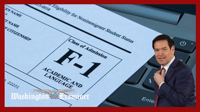 Rubio pulls 6,000 student visas after Trump order to review for ‘security risks’