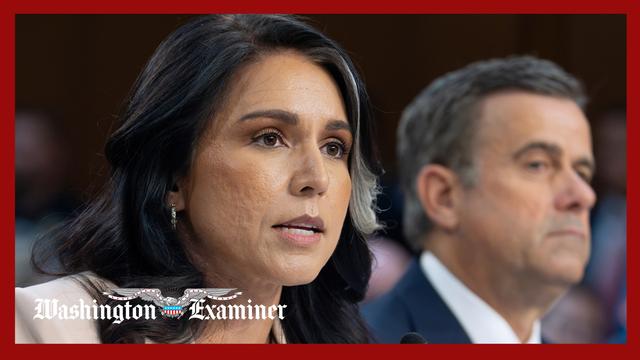 Gabbard accidentally outs undercover CIA agent