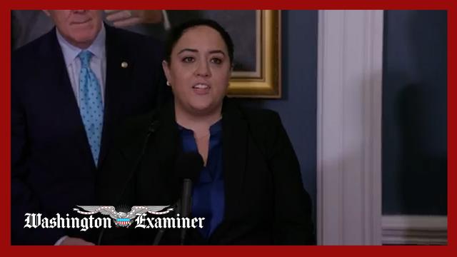 Washington Examiner Reporter Anna Giartelli speaks about experiencing DC crime