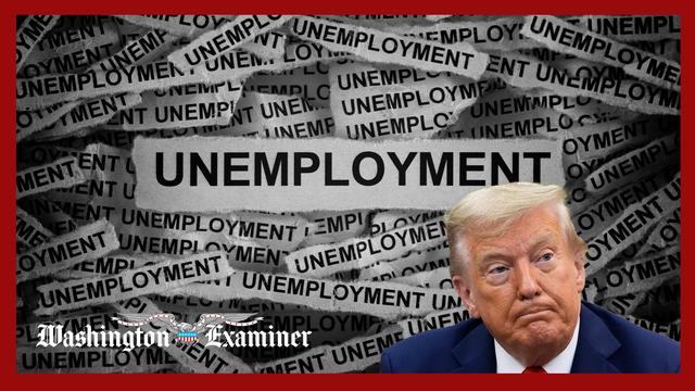 Economy added just 22,000 jobs in August: The key facts and figures
