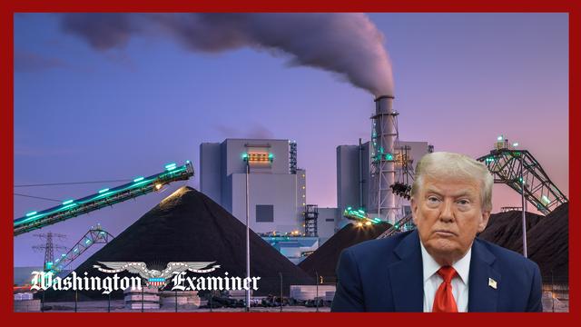 Electricity prices rose further in August, as Trump blames renewables