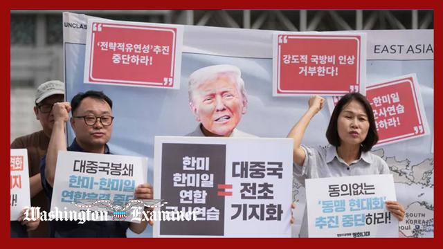 South Korea reviewing possible human rights abuses in US raid at Hyundai plant