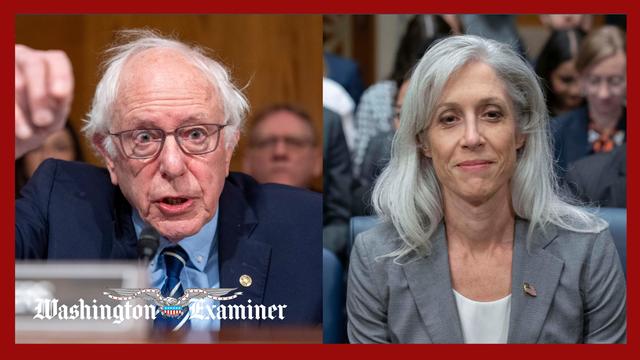 Bernie Sanders blocks swearing-in of former CDC officials at senate hearing