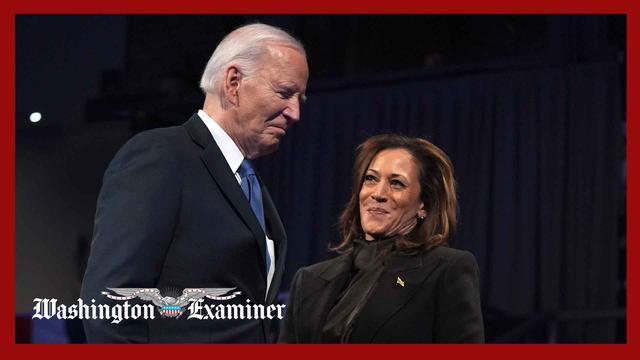 Harris claims she was part of ‘recklessness’ that led Biden to seek reelection
