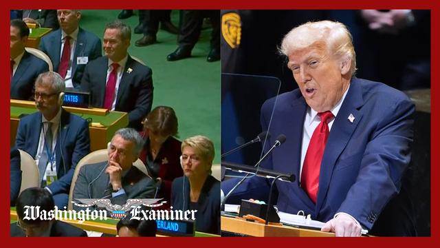 Trump uses UN to tell Europe: 'Your countries are going to hell'