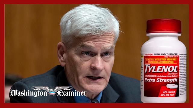 Cassidy asks HHS for new data to support claims tying Tylenol to autism