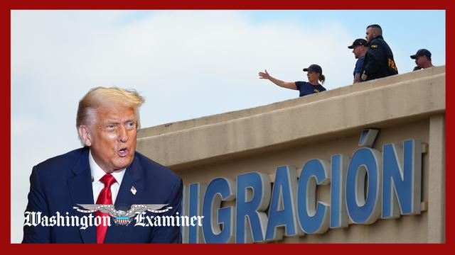 Trump teases order to ‘dismantle’ domestic terrorist networks 