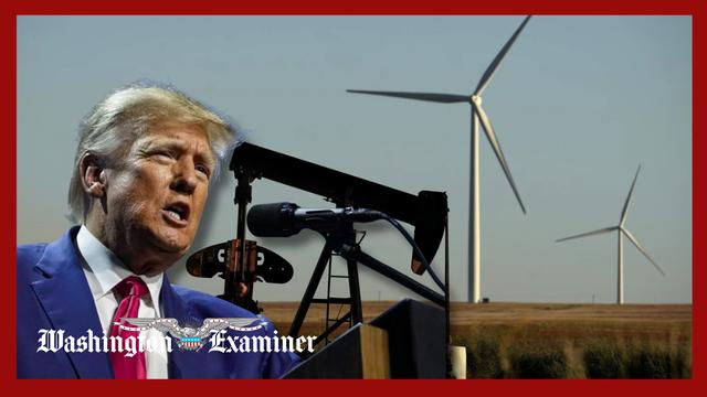 Trump coming up short on promise to cut electricity costs as prices climb