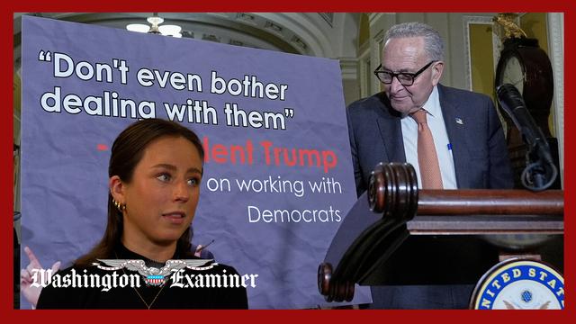 How Senate Democrats are trying to negotiate out of shutdown