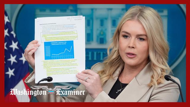 White House on IVF promise and Trump's response to Russian naval moves