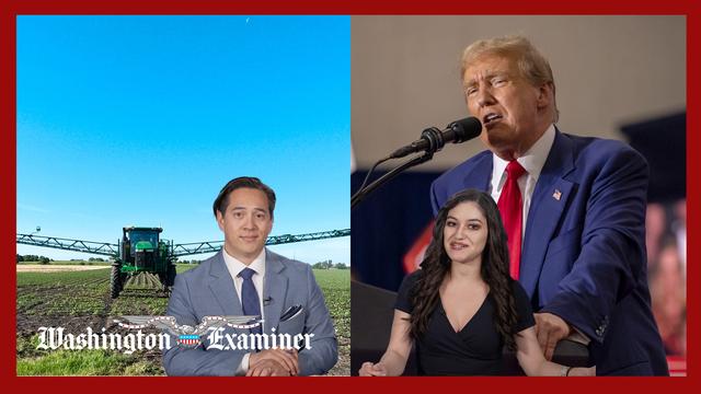 Will Trump’s $50 billion farm bailout backfire?
