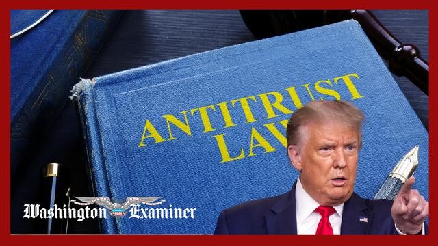 Conservative allies call on Trump to follow through on antitrust enforcement