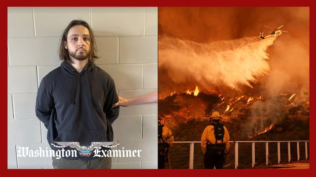Police arrest suspect in connection to deadly California Palisades fires
