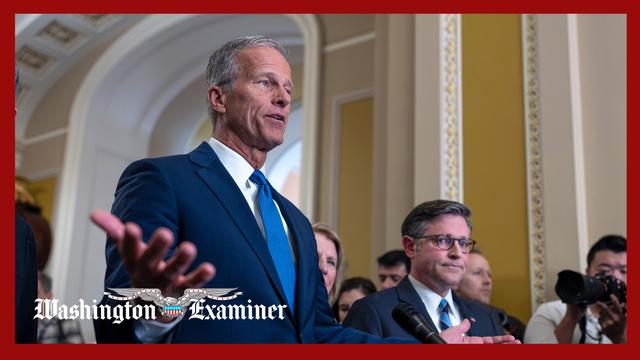 Thune pitches shutdown solution that would pass appropriations bills one by one