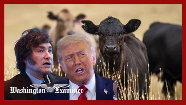 Trump floats buying Argentine beef after sending billions in aid to Milei