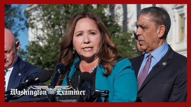Grijalva complains after 28 days still not sworn in during government shutdown