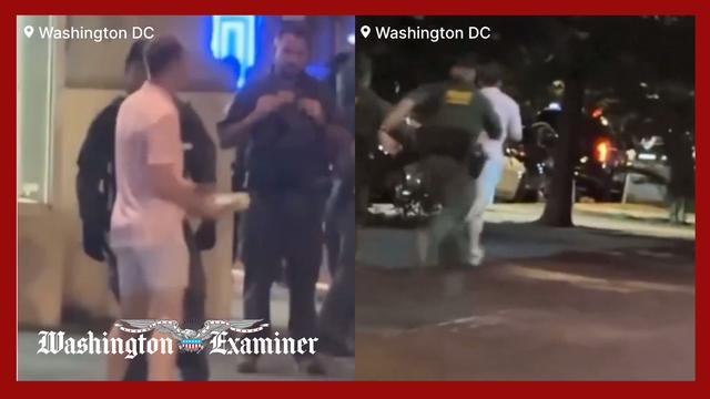 ‘Sandwich guy’ asks court to drop charges for assaulting CBP agent