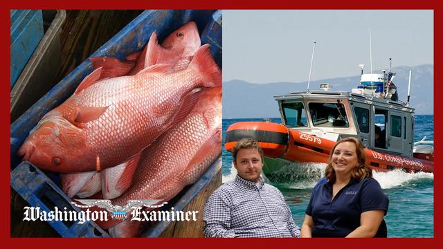 Inside the U.S.’s mission to fight illegal fishing in the Gulf of America