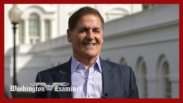 Mark Cuban hearing erupts over Obamacare subsidies amid shutdown fight