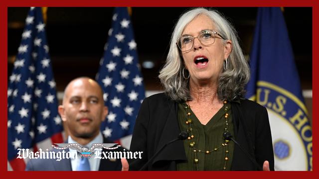 House Democrat for acknowledging the Left’s leverage point in the shutdown