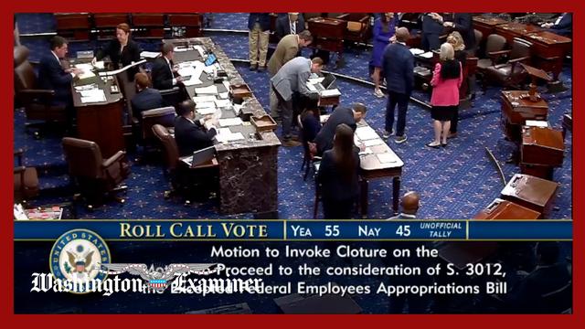 Senate Democrats tank shutdown vote on pay for federal workers