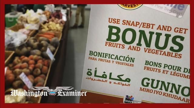USDA confirms no SNAP benefits will go out Nov. 1