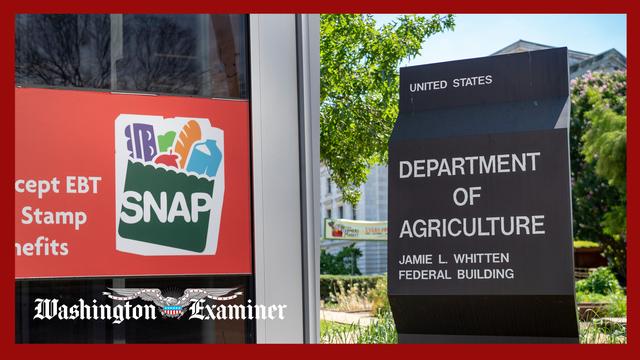 Blue states sue USDA for not using emergency funds to fix SNAP lapse