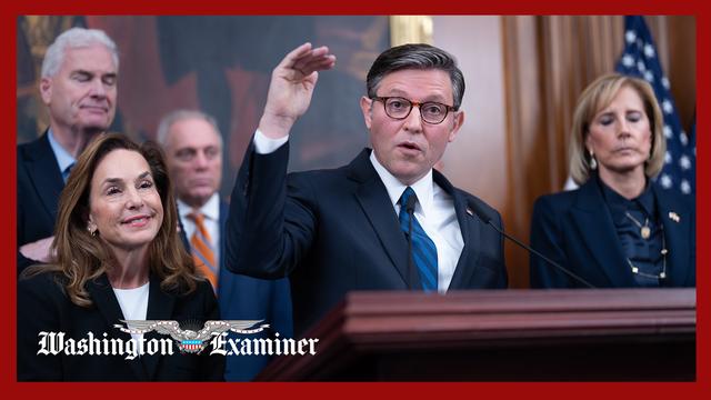 Johnson rejects partial government reopening amid shutdown