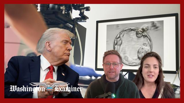 Madeline Fry Schultz explains the IVF rift on the Right