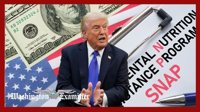 Judge rules Trump administration must release emergency SNAP funds