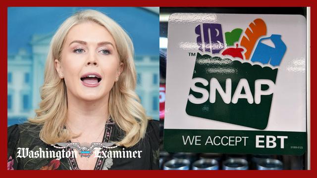 White House says SNAP payments won’t restart until shutdown ends