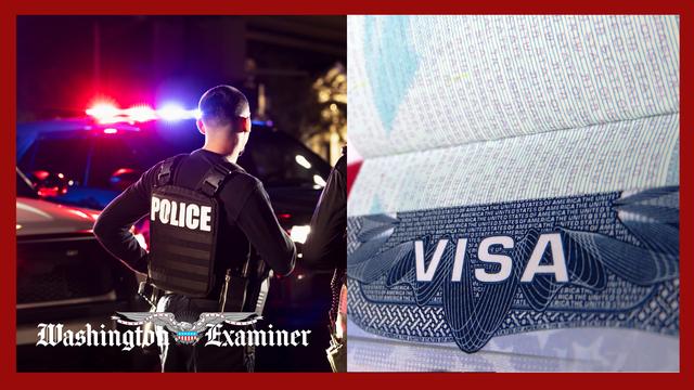 Trump’s State Dept has revoked over 80,000 nonimmigrant visas