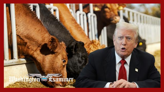 Trump orders DOJ investigation of meatpacking industry price-gouging