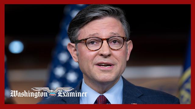 Mike Johnson responds as Senate works to end government shutdown