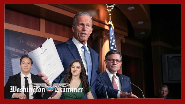 What gave Thune and GOP their breakthrough to get Dems to fund government