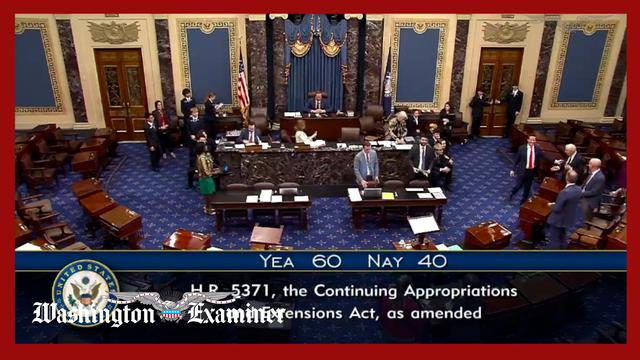 Senate passes bill to end government shutdown, heads to House for final passage