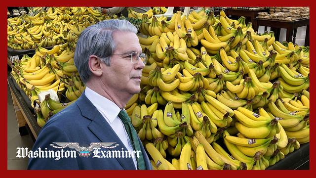 Bessent promises relief on prices of coffee and bananas as tariffs bite