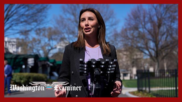 DOJ searching for suspect who attacked Alina Habba’s office, Bondi says