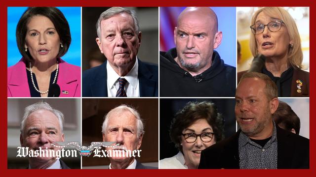 Why the eight Senate Democrats voted to reopen the government