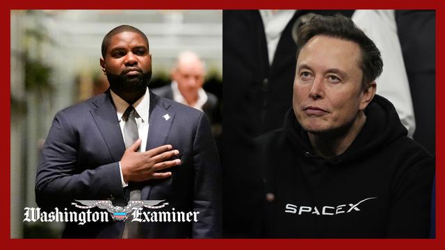 Musk backs Trump-endorsed Byron Donalds for Florida governor