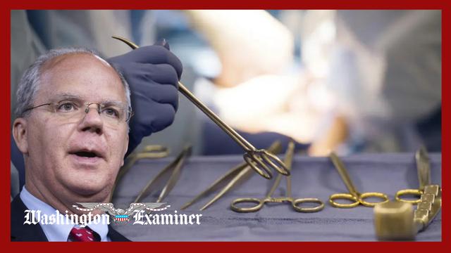 House GOP probes South Florida group that lost organs and botched paperwork